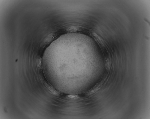 X0000091690477200709131610