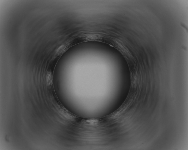 X0000091690478200709131610