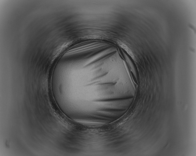 X0000091690482200709131610