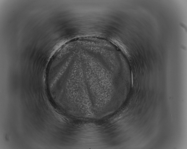 X0000091690483200709131610