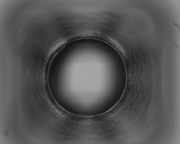 X0000091690485200709131610