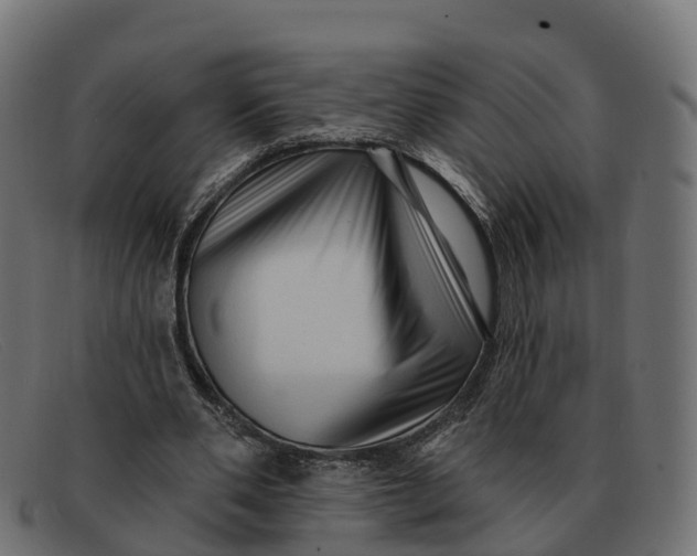 X0000091690486200709131610