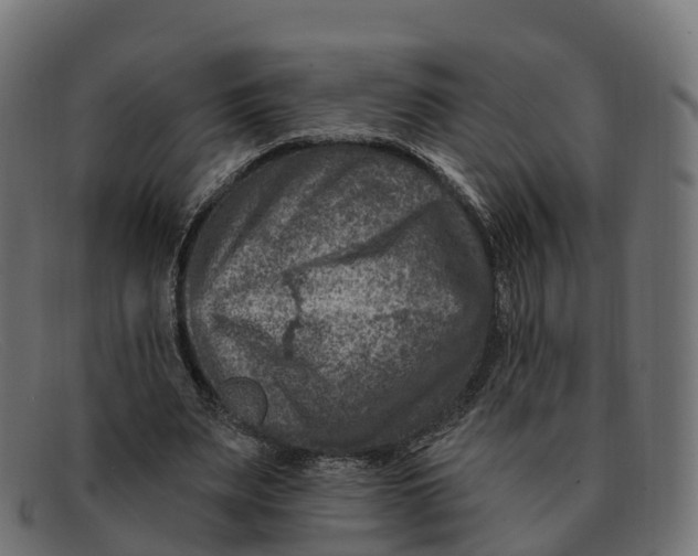 X0000091690487200709131610