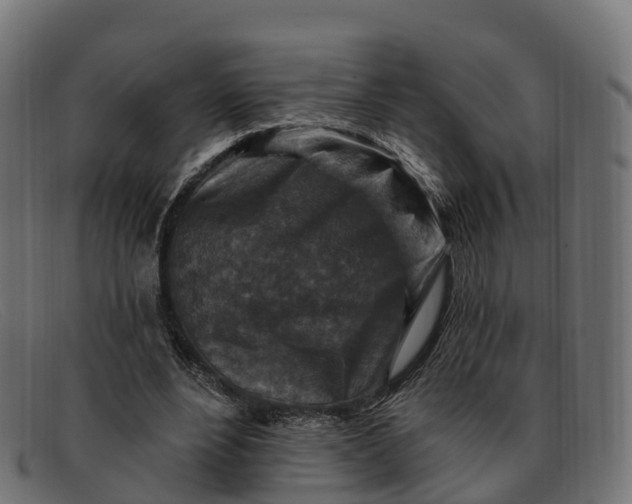 X0000091690488200709131610