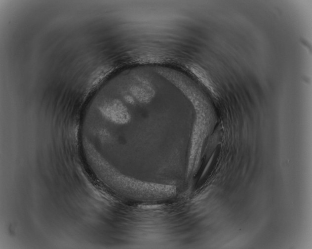 X0000091690491200709131610