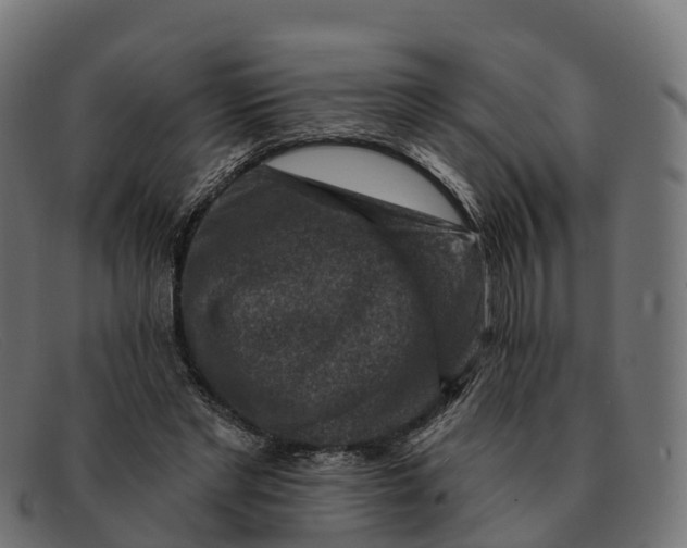 X0000091690493200709131610