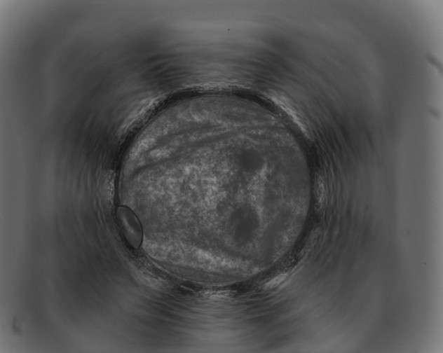 X0000091690495200709131610