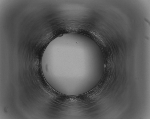 X0000091690498200709131609