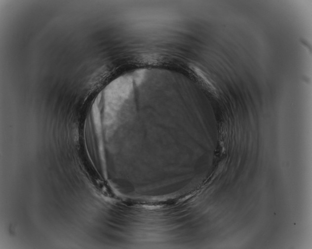 X0000091690500200709131609