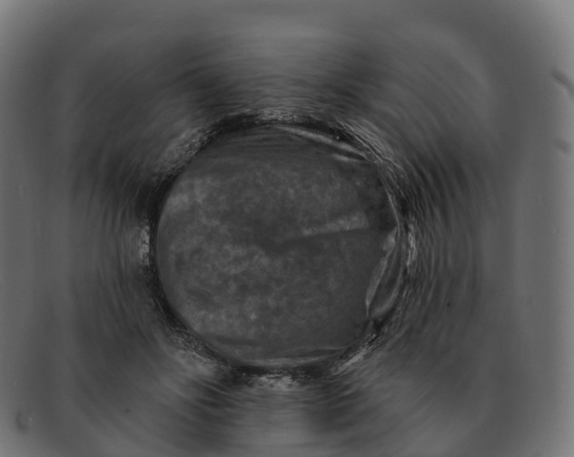 X0000091690502200709131609