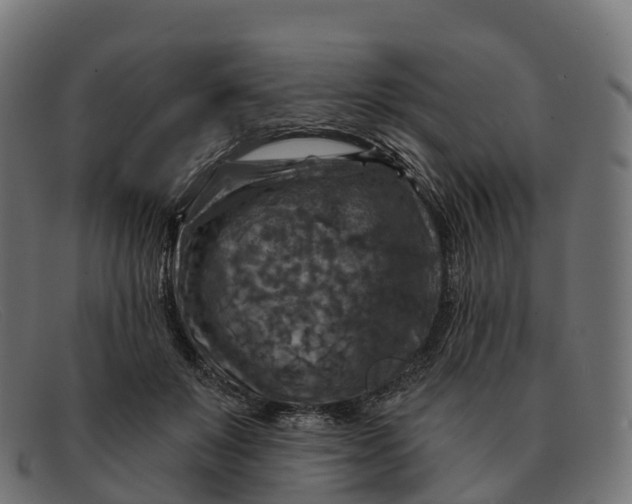 X0000091690503200709131609