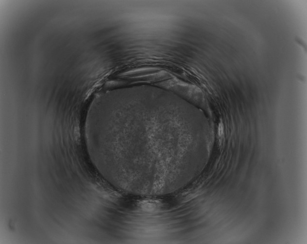 X0000091690508200709131609