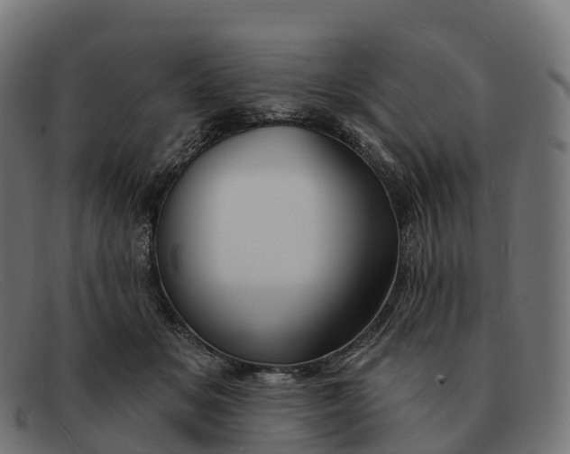 X0000091690509200709131609