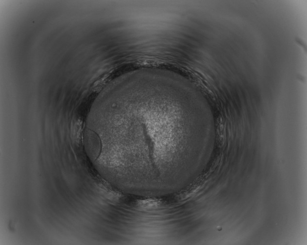 X0000091690511200709131609