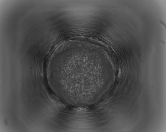 X0000091690512200709131609