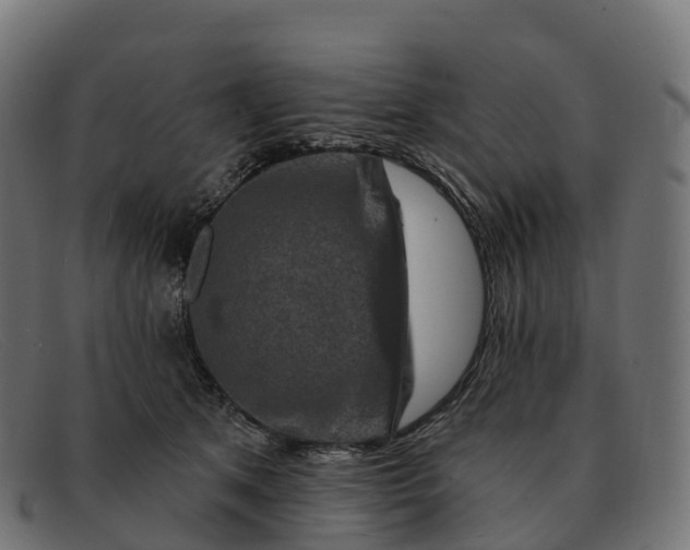 X0000091690513200709131609