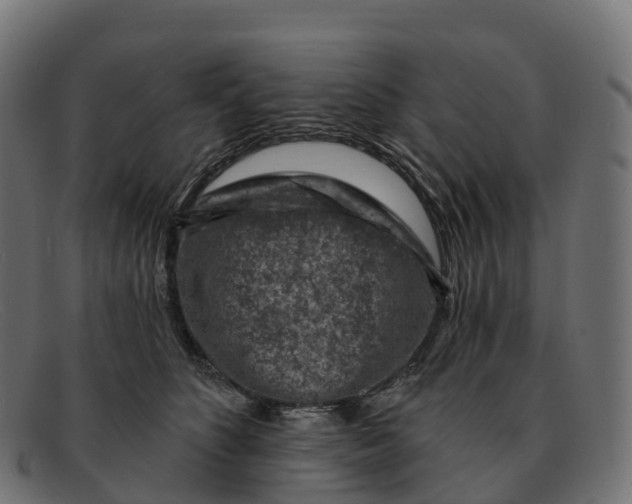 X0000091690516200709131609