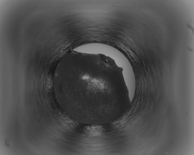 X0000091690517200709131609