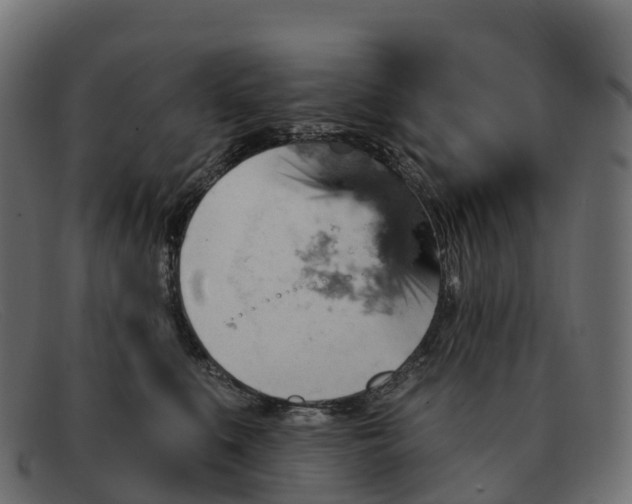 X0000091690519200709131609