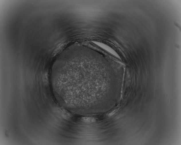 X0000091690520200709131609