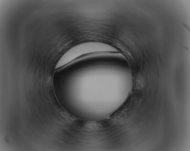 X0000091690521200709131609