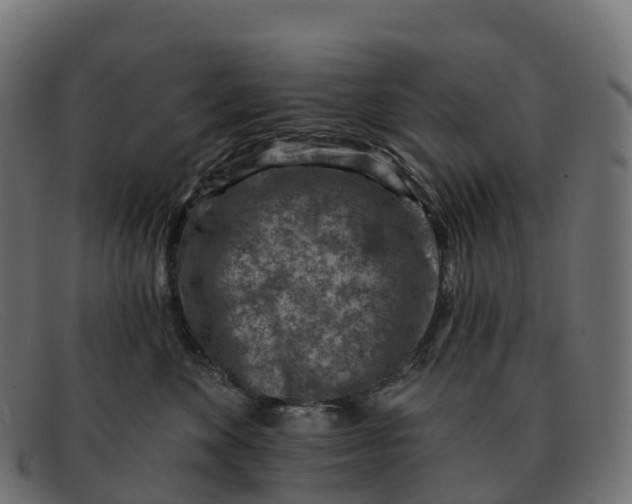 X0000091690524200709131609