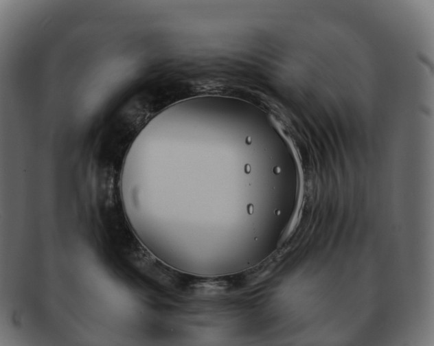 X0000091690525200709131609