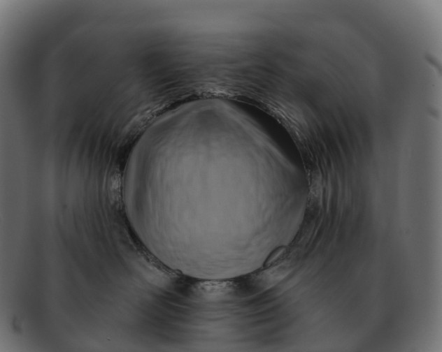 X0000091690526200709131609