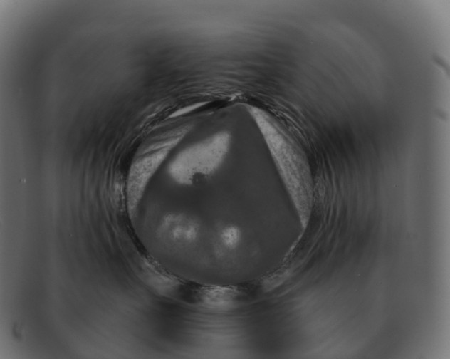 X0000091690527200709131609