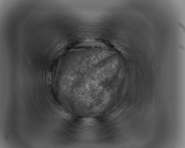 X0000091690528200709131609