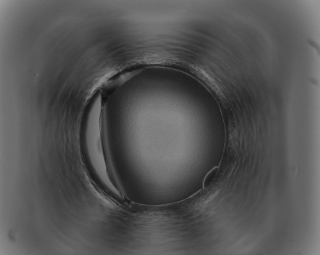 X0000091690530200709131609