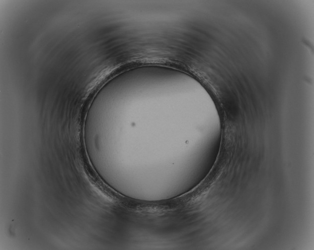 X0000091690533200709131609