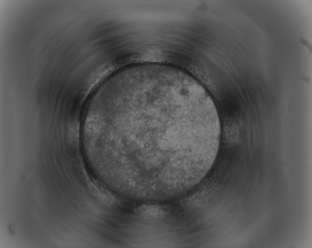 X0000091690534200709131609