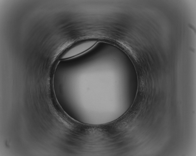 X0000091690535200709131609