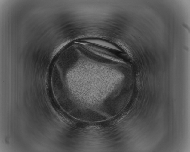 X0000091690536200709131609