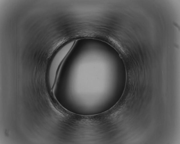 X0000091690538200709131609