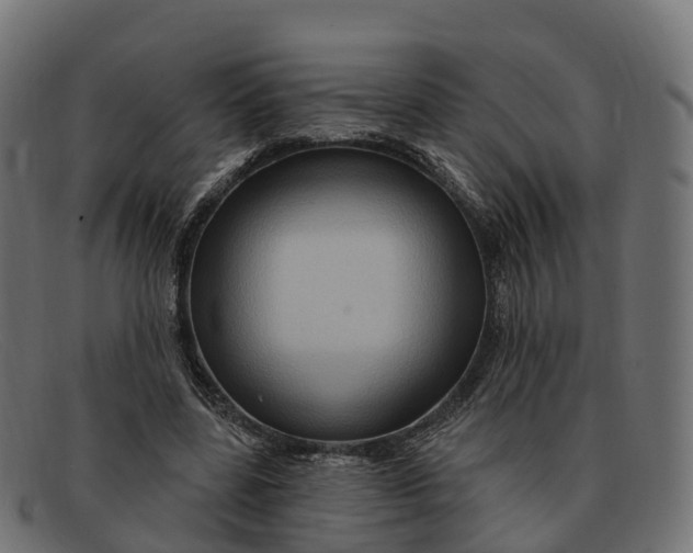 X0000091690539200709131609