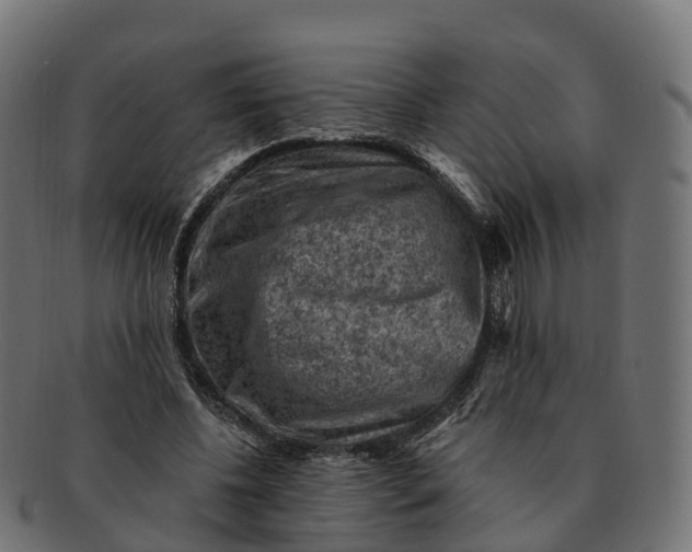 X0000091690540200709131609