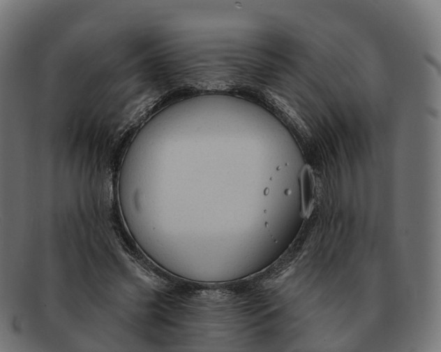 X0000091690541200709131609