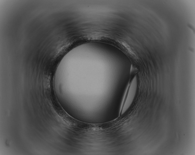 X0000091690543200709131609