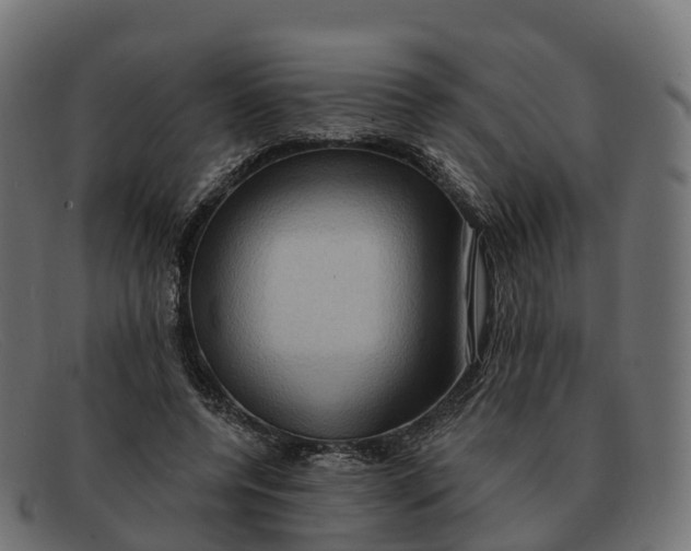 X0000091690544200709131609