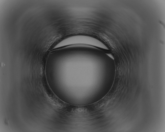 X0000091690546200709131609