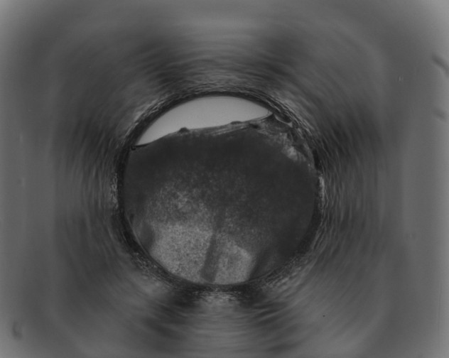 X0000091690547200709131609