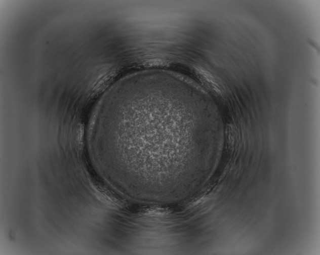 X0000091690550200709131609