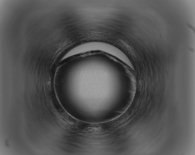 X0000091690552200709131609