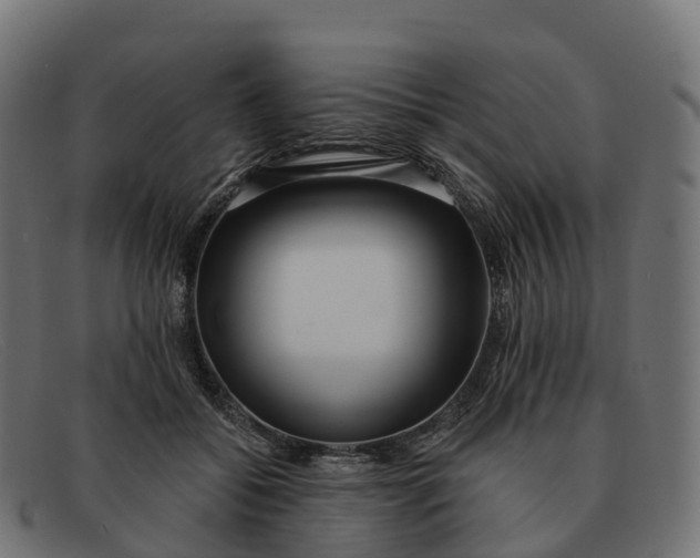 X0000091690556200709131609