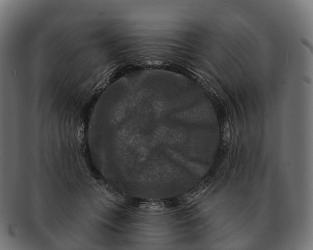 X0000091690559200709131609