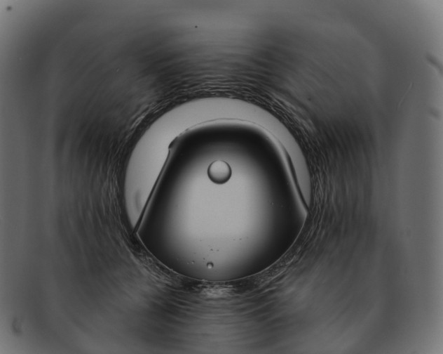 X0000091690560200709131609