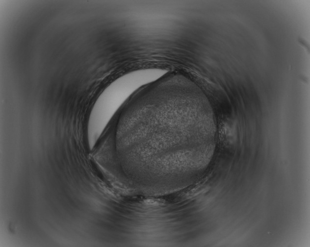 X0000091690566200709131609