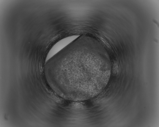 X0000091690569200709131609